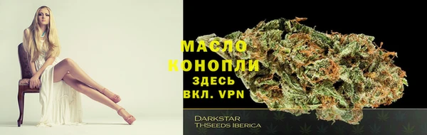 спиды Арсеньев