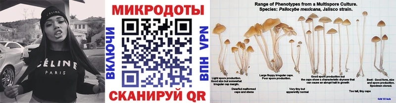 Галлюциногенные грибы Psilocybe  дарнет шоп  Оха 
